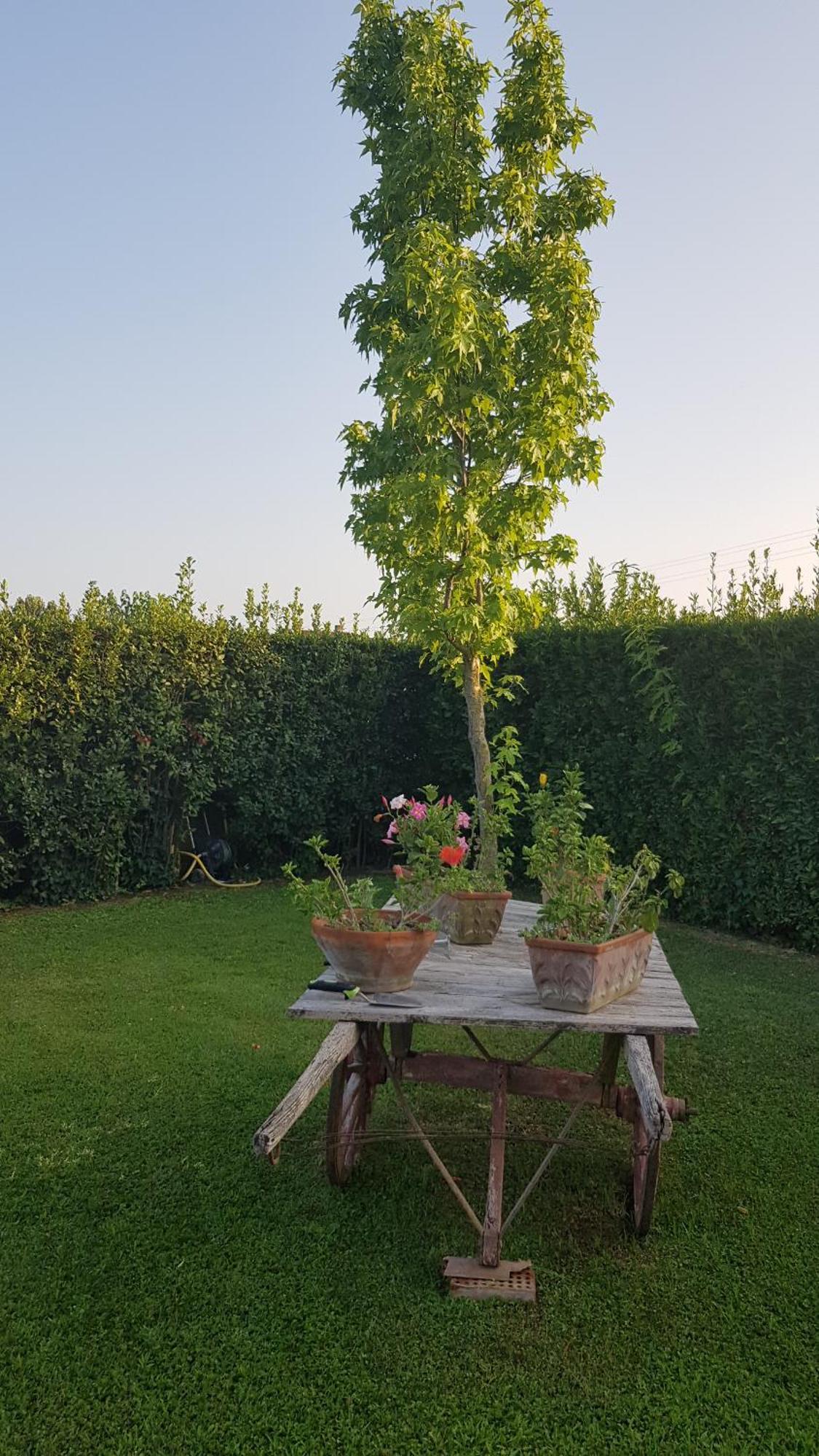 Leupupe Relax Cultura Mare Monti Lejlighed Cascina Eksteriør billede